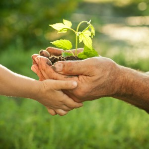 Ökologische Baustoffe - der Umwelt und Gesundheit zuliebe