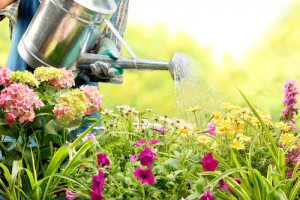 Ein schöner Garten braucht viel Pflege