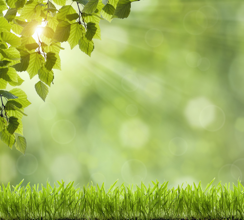 Die Sonne zieht uns in den Garten