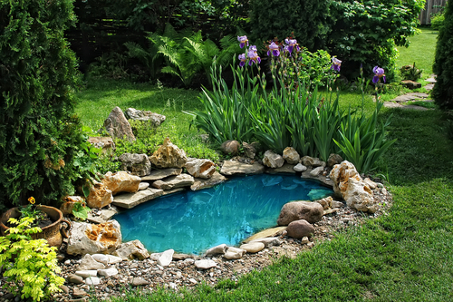 Eleganter Gartenteich