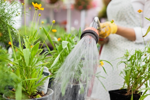 Mit dem Gartenschlauch gießen kostet Zeit